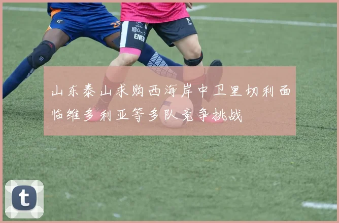 山东泰山求购西海岸中卫里切利面临维多利亚等多队竞争挑战