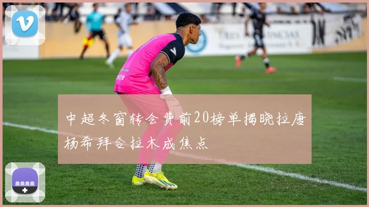 中超冬窗转会费前20榜单揭晓拉唐杨希拜合拉木成焦点