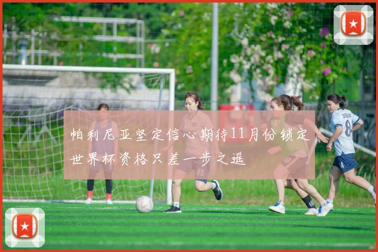 帕利尼亚坚定信心期待11月份锁定世界杯资格只差一步之遥