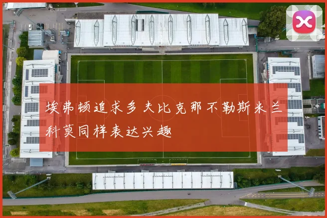 埃弗顿追求多夫比克那不勒斯米兰科莫同样表达兴趣