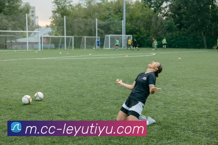 乐鱼体育发展历程